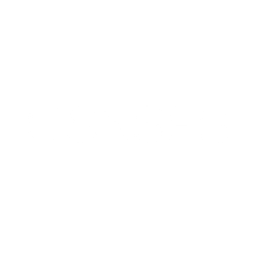 CSNSES